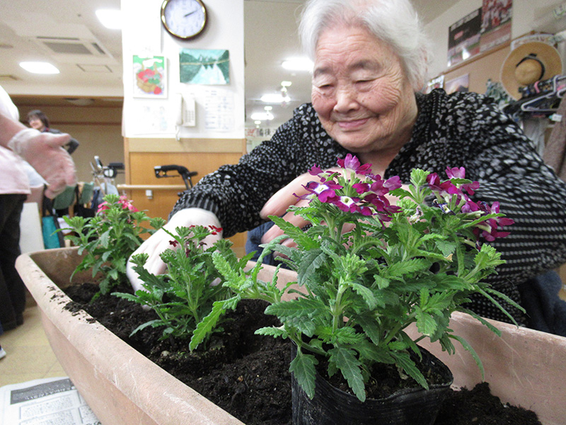 園芸5 - デイ備後