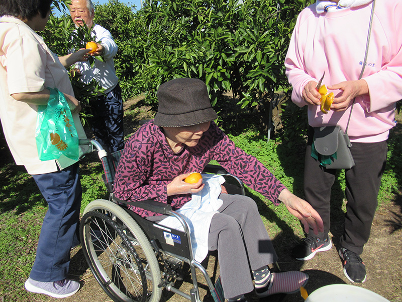 みかん狩り1 - ケアハウス福山