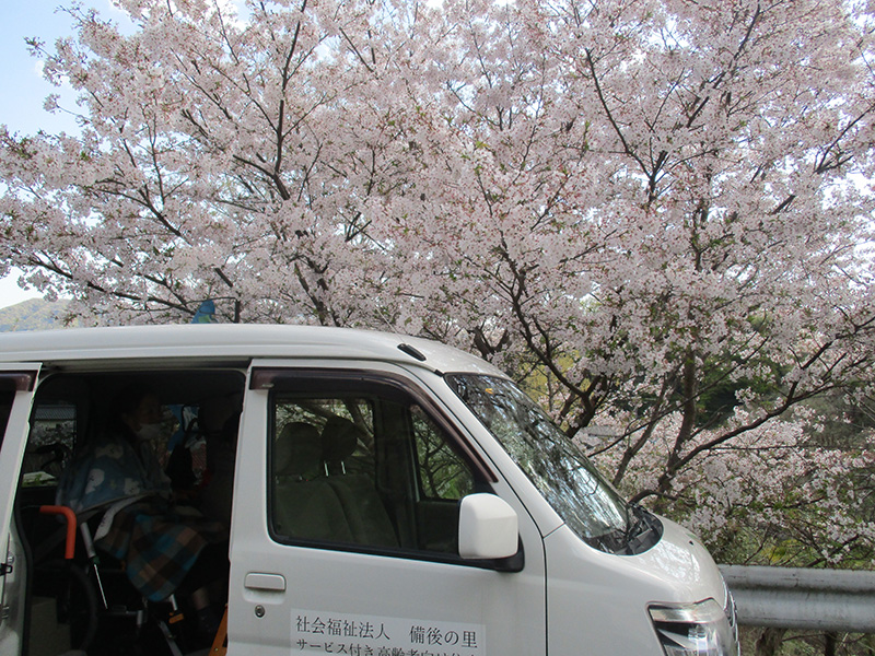 お花見ドライブ - 小多機まなぐら南