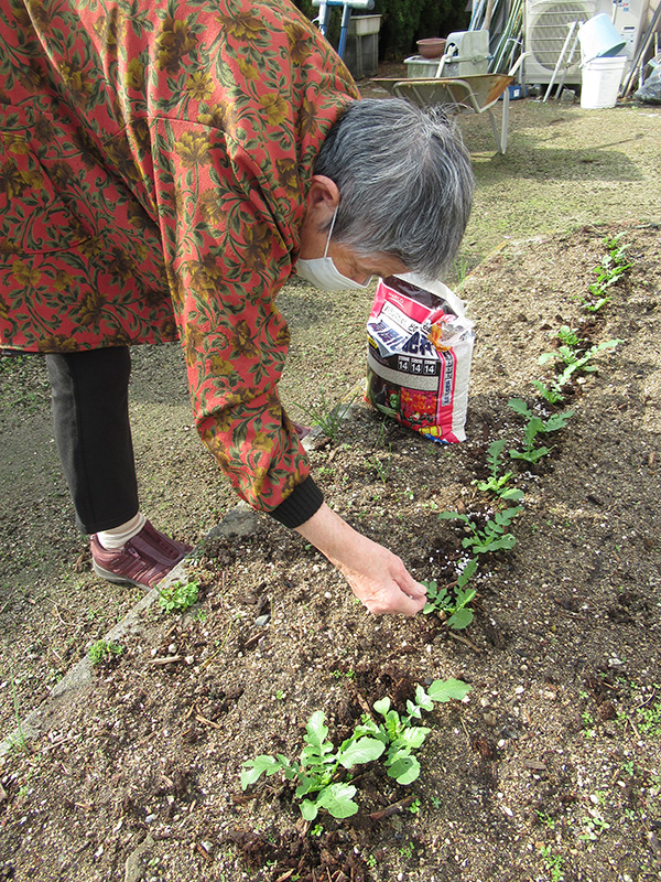 園芸2 - デイ備後
