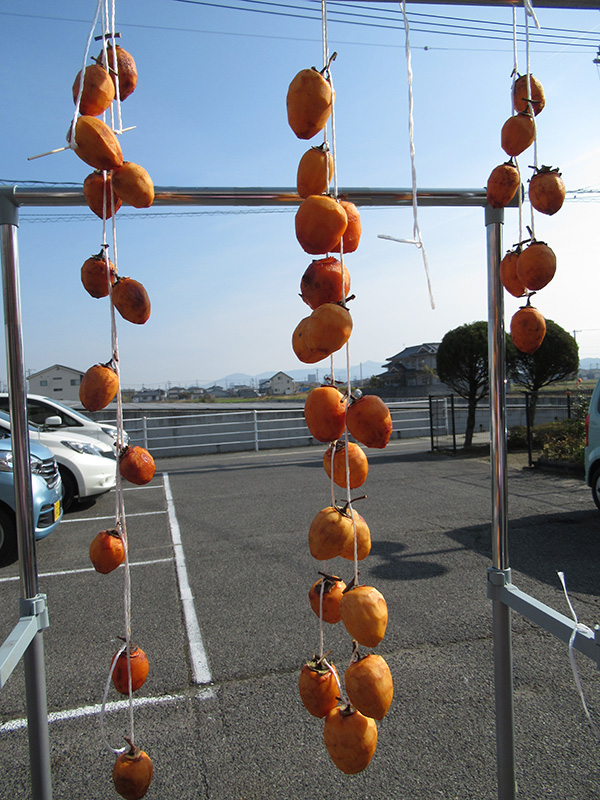 干し柿3 - デイ備後