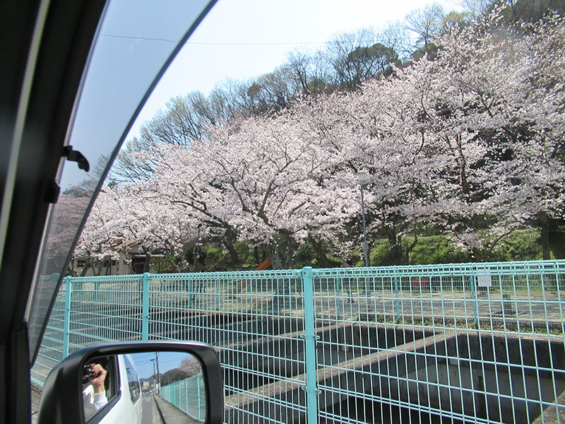 花見ドライブ1 - ケアハウス福山