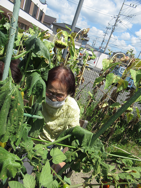 トマトのお世話1 - デイ備後