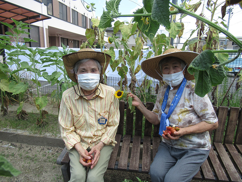 トマトのお世話2 - デイ備後