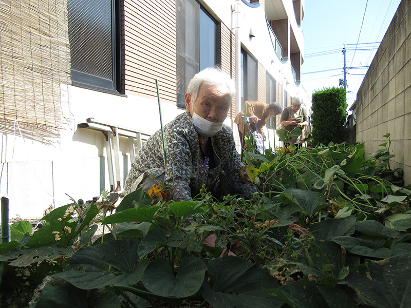 びんご菜園 - デイ備後