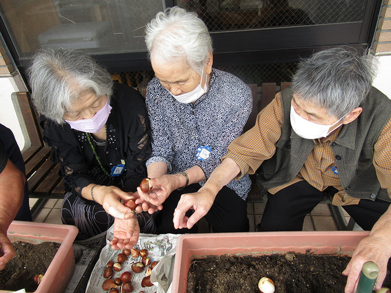 球根を植えました - デイ備後