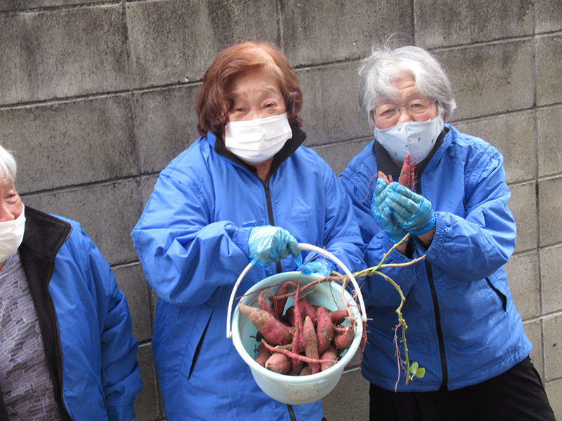 さつまいも　収穫祭 - デイ備後