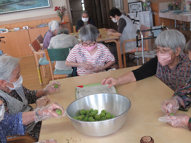 梅干し作り1 - ケアハウス福山